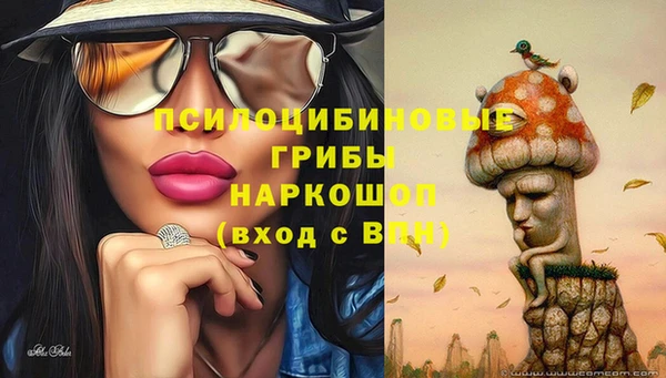трава Нефтегорск