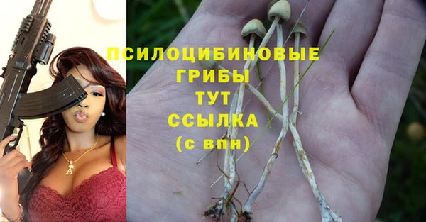 трава Нефтегорск