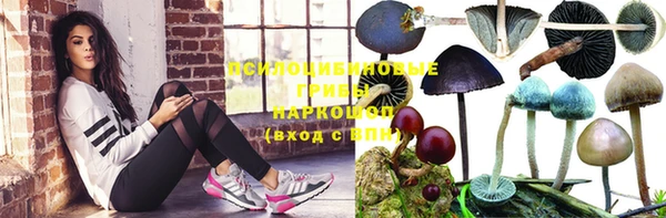 ALPHA PVP Нефтекумск