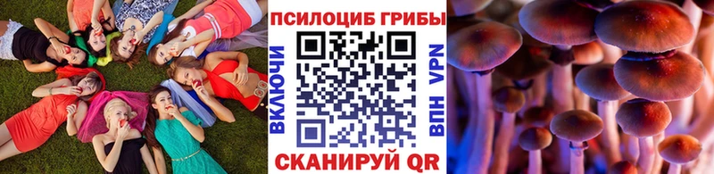 МЕГА рабочий сайт  Таганрог  Галлюциногенные грибы Cubensis  цена наркотик 