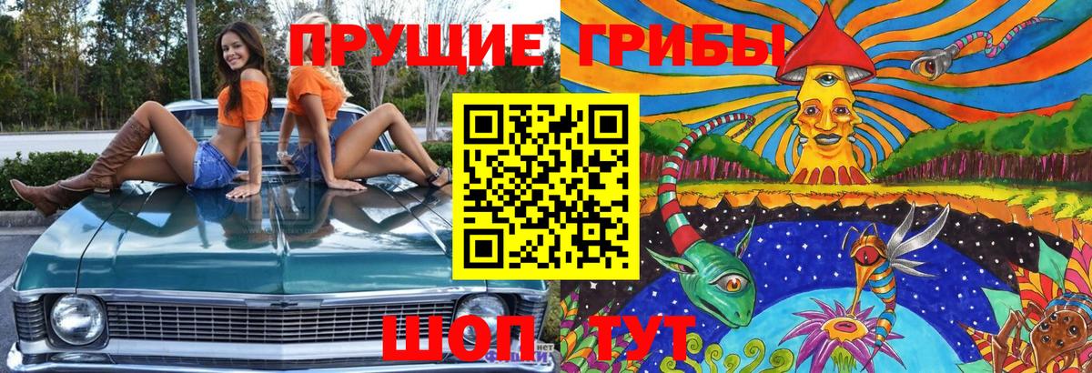Таганрог  Псилоцибиновые грибы Psilocybe  Псилоцибиновые грибы Psilocybe  Вход с VPN 