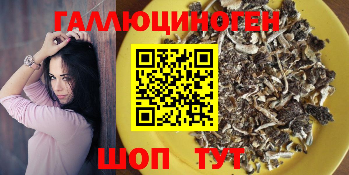 Псилоцибиновые грибы Psilocybine cubensis Таганрог